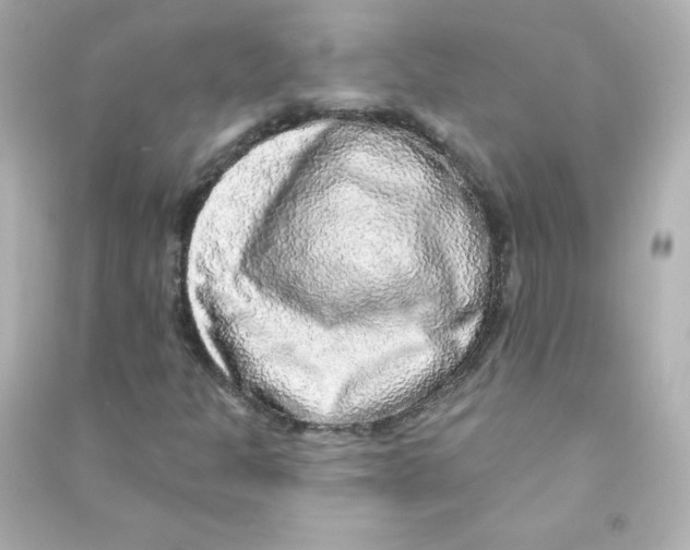 X0000090441301200708102018