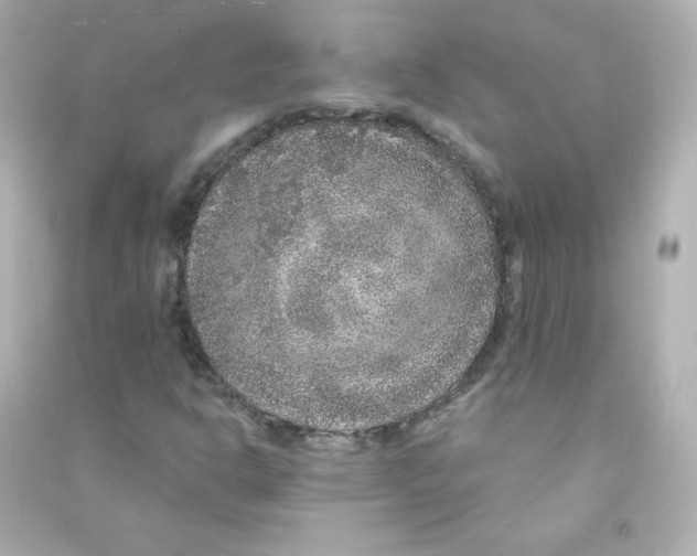 X0000090441302200708102018