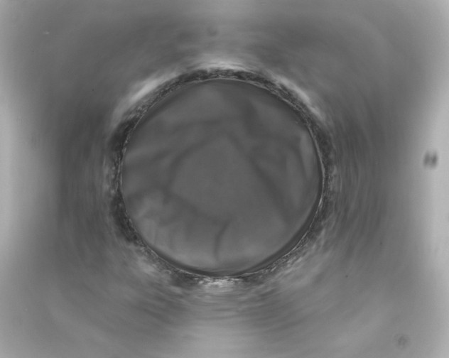 X0000090441303200708102018
