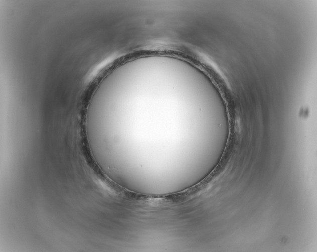 X0000090441304200708102018