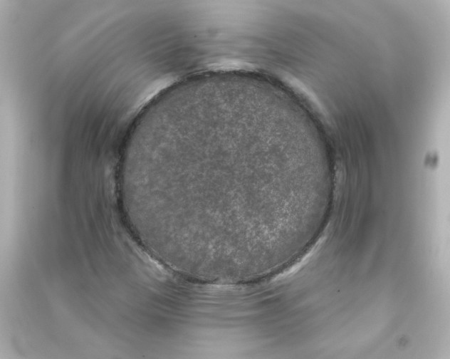 X0000090441305200708102018
