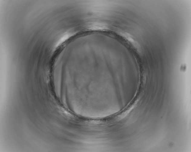 X0000090441306200708102018
