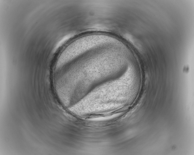 X0000090441307200708102018