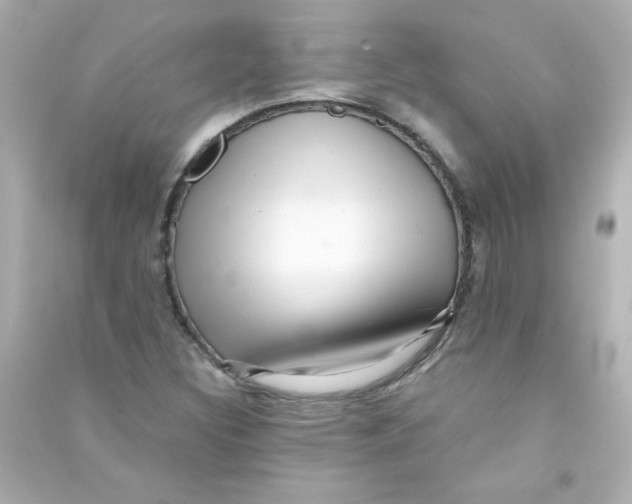 X0000090441308200708102018