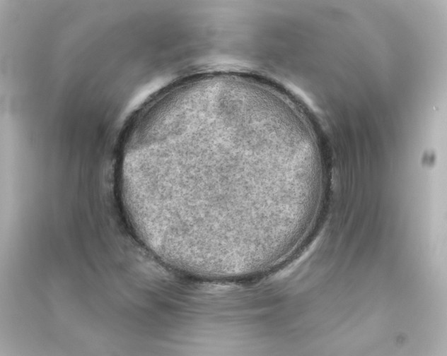 X0000090441309200708102018