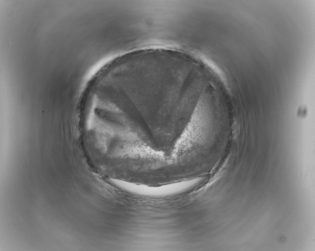 X0000090441310200708102018