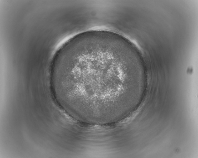 X0000090441311200708102018