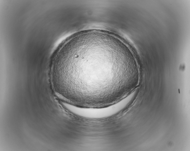 X0000090441312200708102018