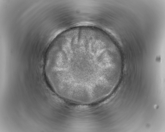 X0000090441313200708102018