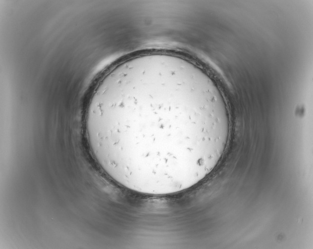 X0000090441315200708102019