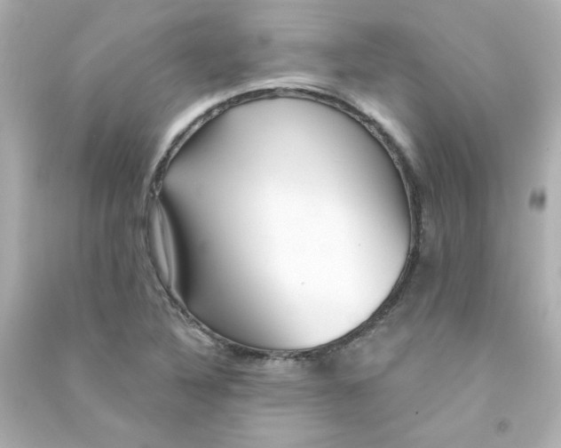 X0000090441316200708102019
