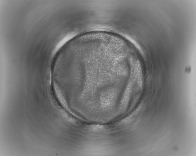 X0000090441317200708102019
