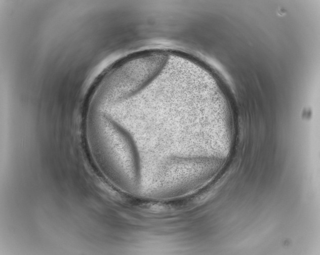 X0000090441318200708102019