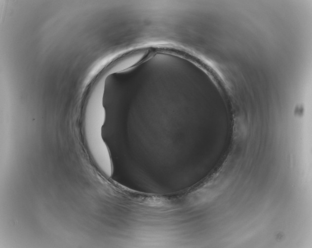 X0000090441319200708102019