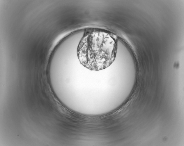 X0000090441320200708102019