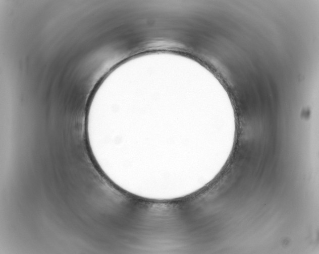 X0000090441322200708102019