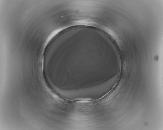 X0000090441323200708102019
