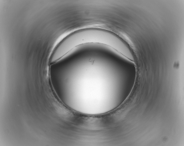 X0000090441324200708102019