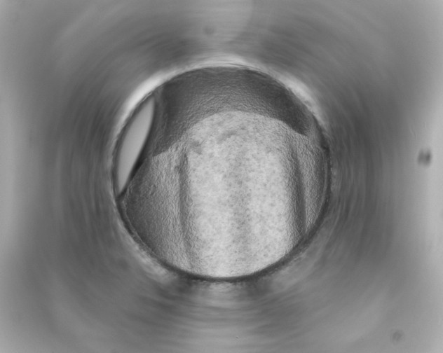 X0000090441326200708102019