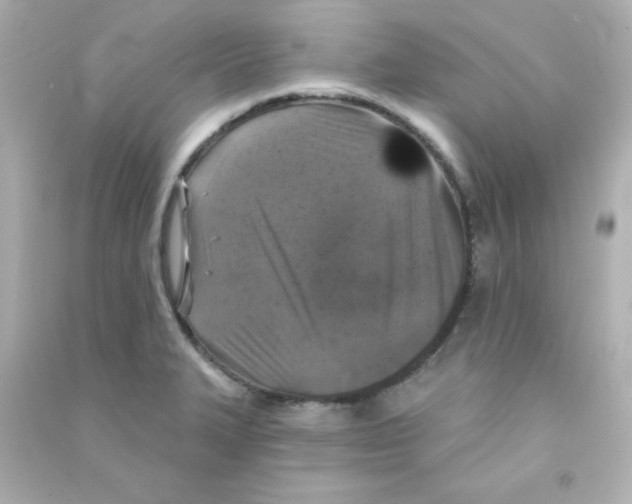 X0000090441327200708102019