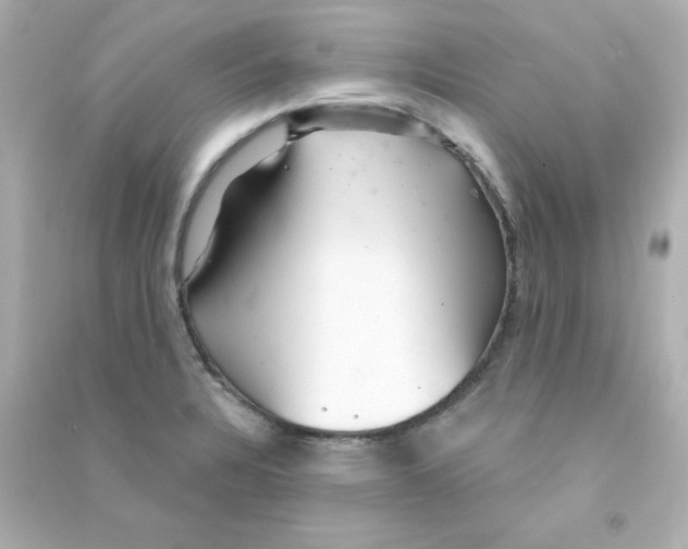 X0000090441328200708102019