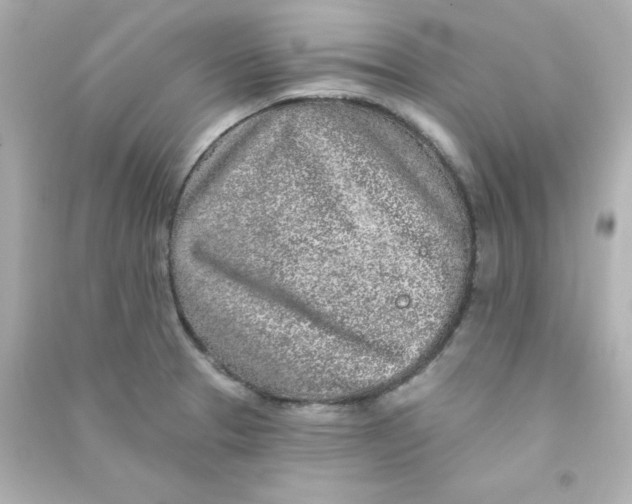 X0000090441329200708102019