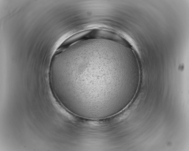 X0000090441330200708102019