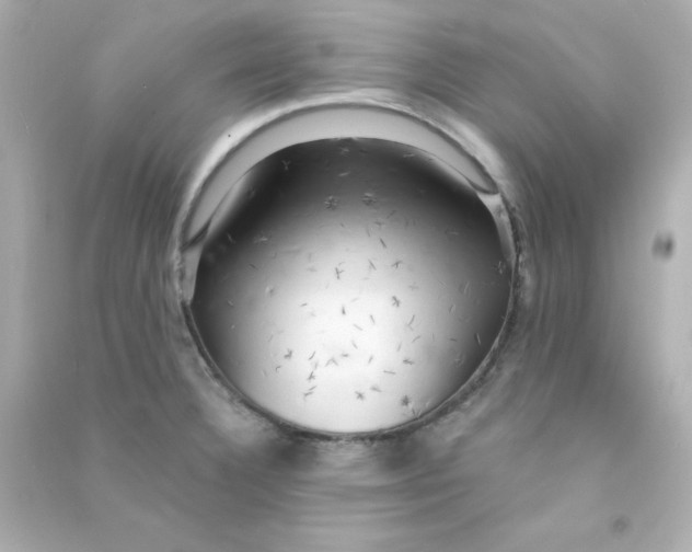 X0000090441332200708102019