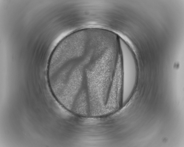X0000090441333200708102019