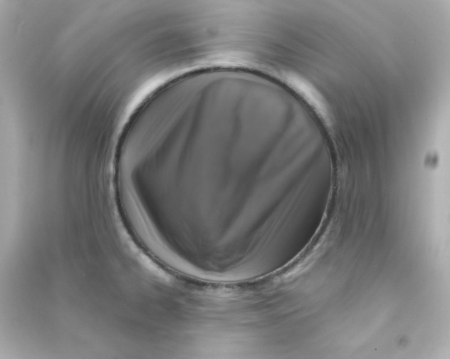 X0000090441334200708102019
