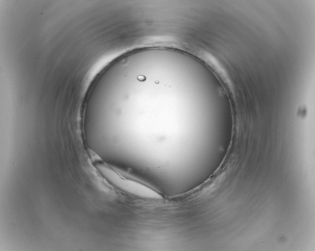 X0000090441336200708102019