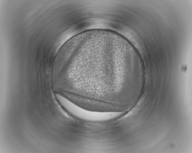 X0000090441337200708102019