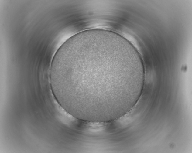 X0000090441338200708102019