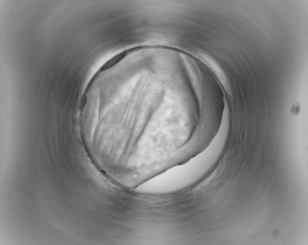 X0000090441340200708102019