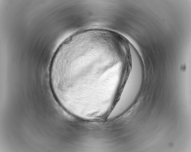 X0000090441341200708102019