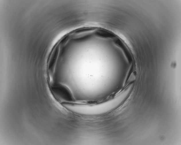 X0000090441342200708102019