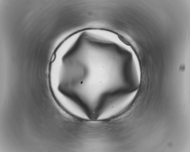 X0000090441343200708102019
