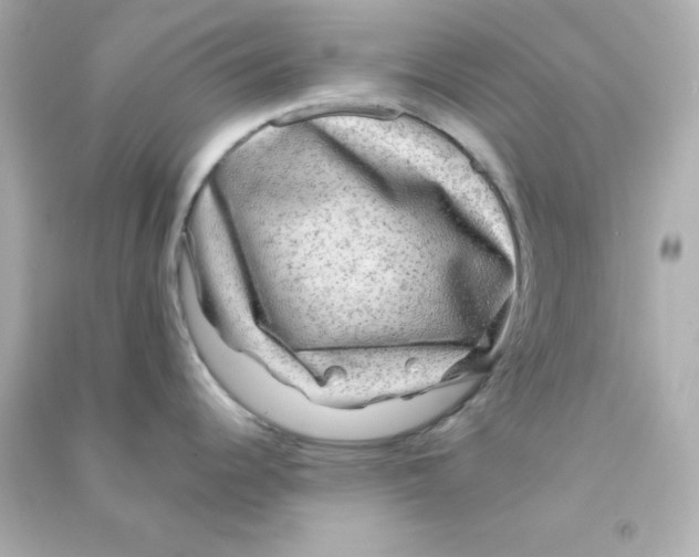 X0000090441344200708102019
