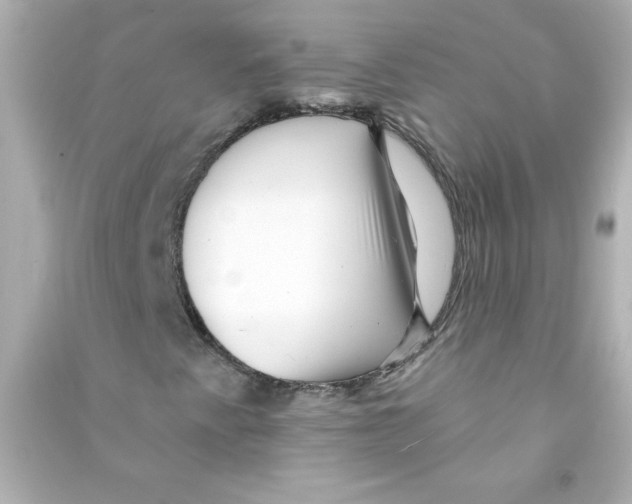 X0000090441345200708102018