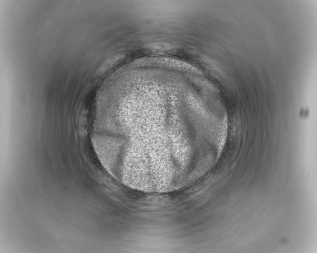 X0000090441346200708102018