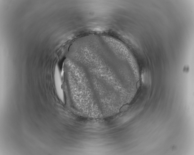 X0000090441347200708102018