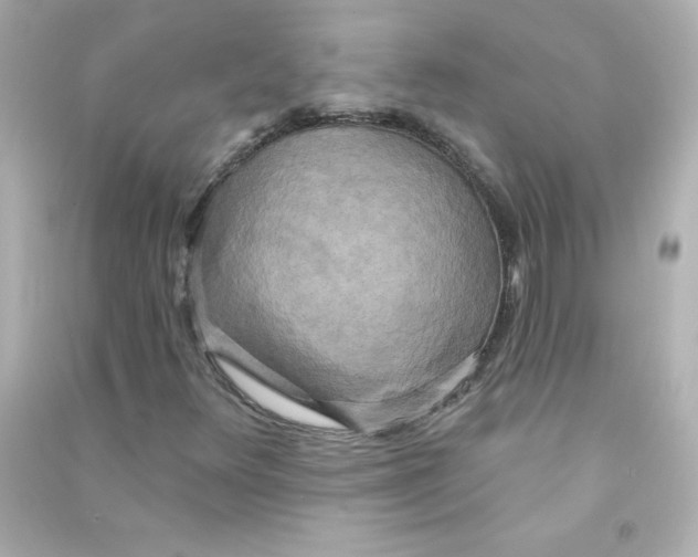 X0000090441348200708102018