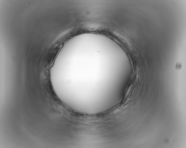 X0000090441349200708102018