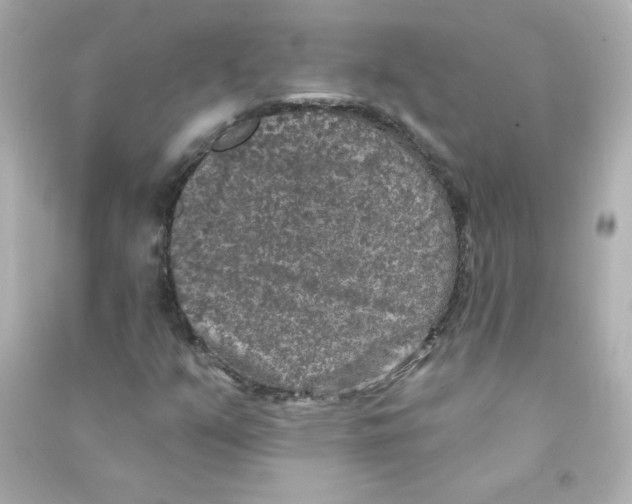 X0000090441351200708102018