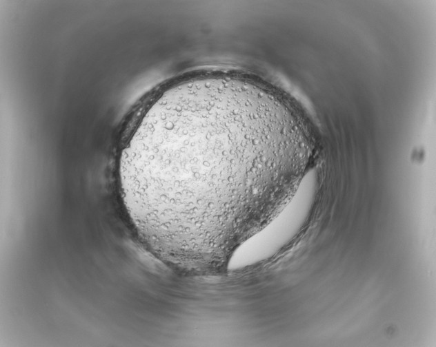 X0000090441352200708102018