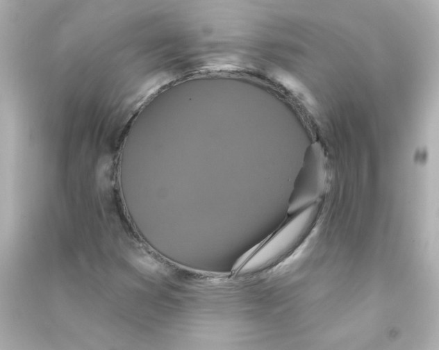 X0000090441353200708102018