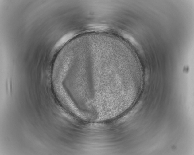 X0000090441354200708102018