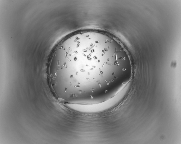 X0000090441356200708102018