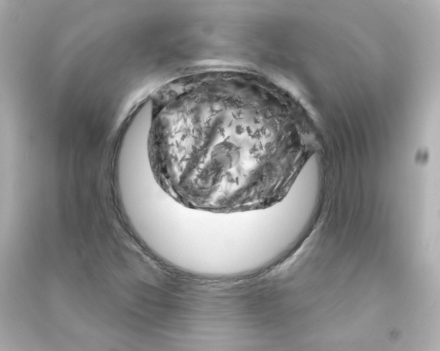 X0000090441357200708102018