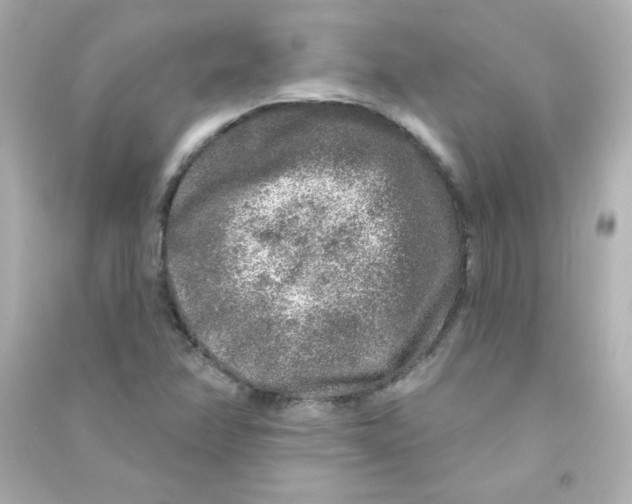 X0000090441358200708102018